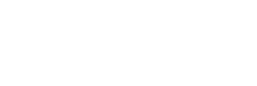 ParSolution