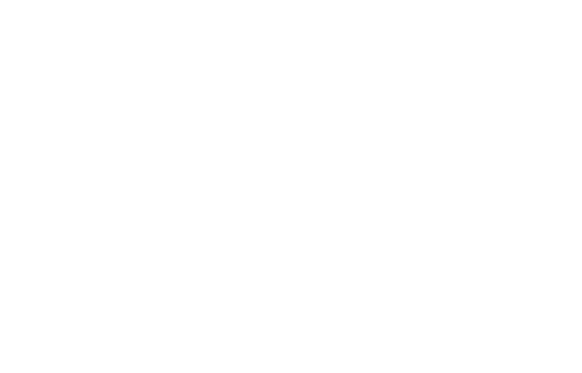 ParSolution