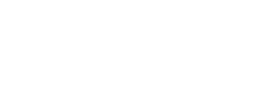 ParSolution