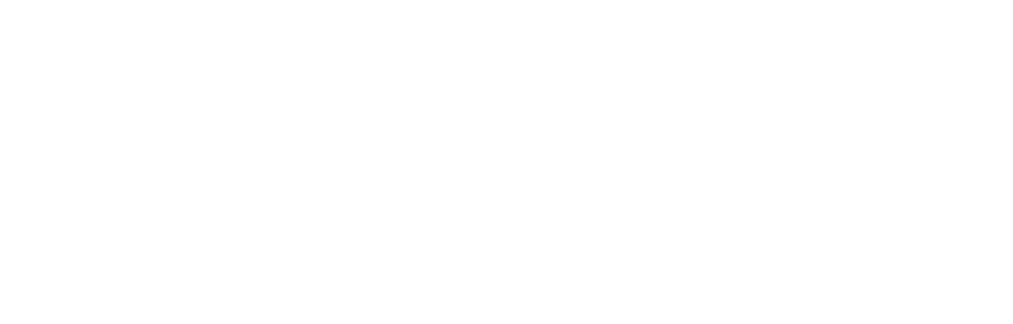 ParSolution